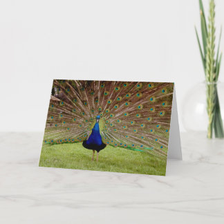 Bask in all your Glory Card