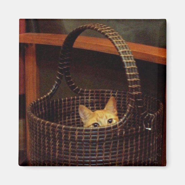 Basket Case Magnet (Front)