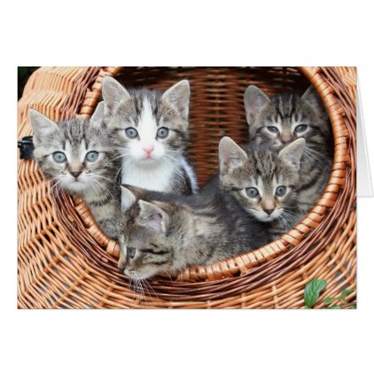 Basket full of fur babies kittens missing you card