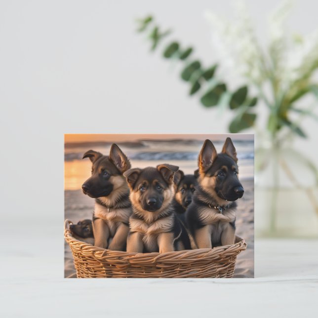 Basket full of German Shepherd Puppies Postcard (Standing Front)