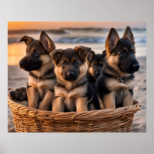 Basket full of German Shepherd Puppies Poster