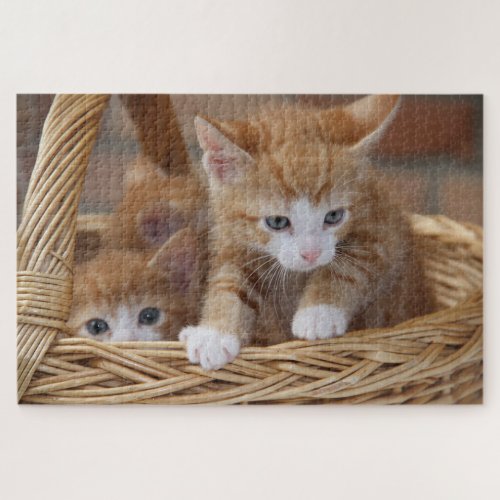 basket kittens puzzle 