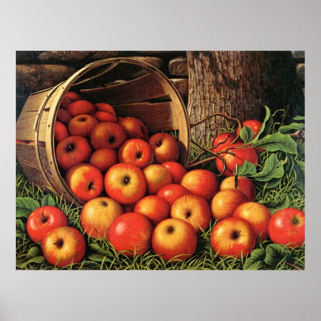 Basket of Apples, fine art painting, Poster (Front)