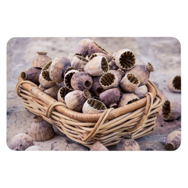 Basket of Dried Pod Poppy Seeds Magnet (Horizontal)