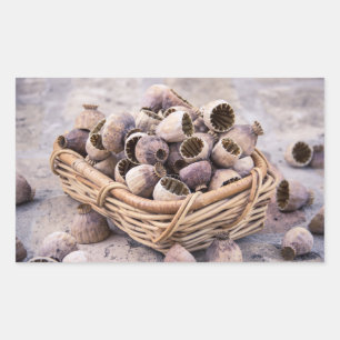 Basket of Dried Pod Poppy Seeds Rectangular Sticker