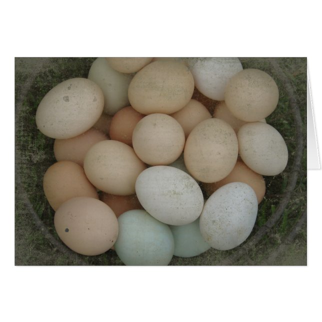 Basket of Eggs Cards (Front Horizontal)