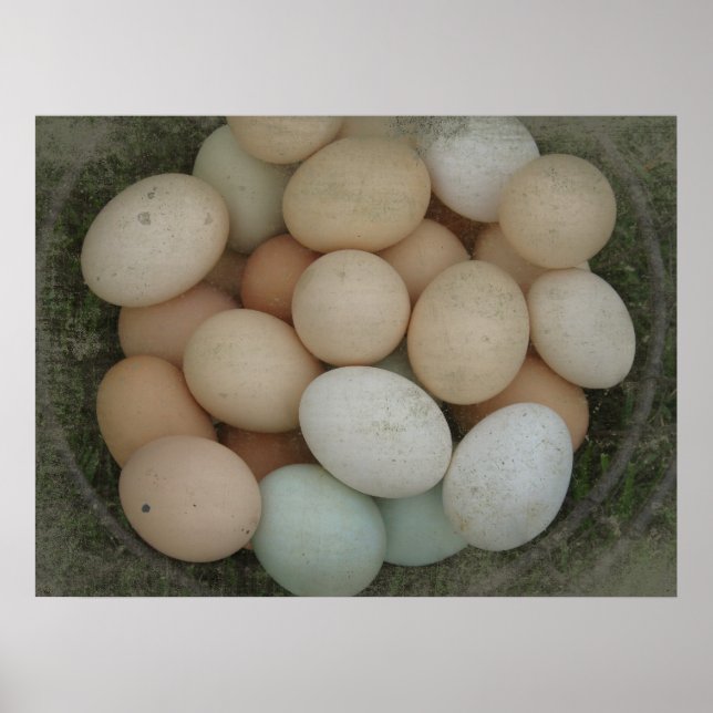 Basket of Eggs Poster (Front)