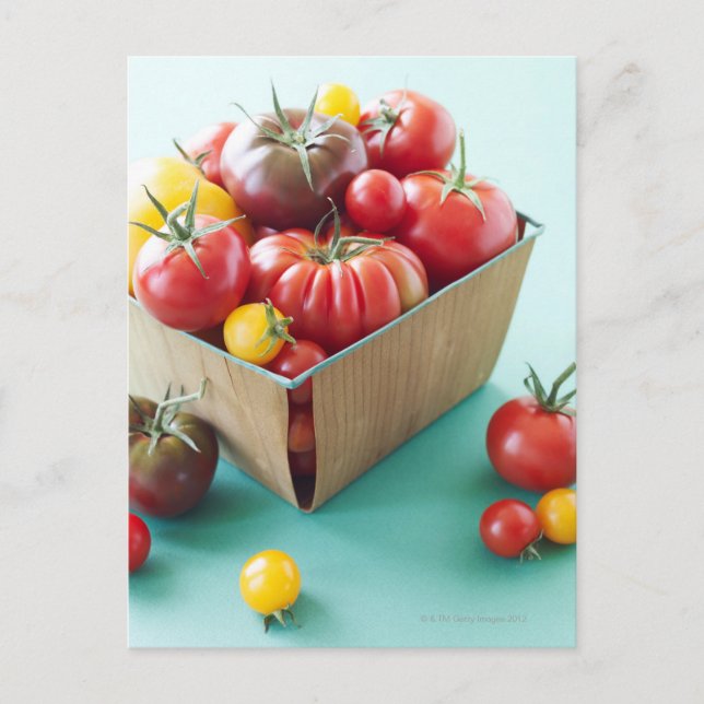 Basket of Heirloom Tomatoes Postcard (Front)