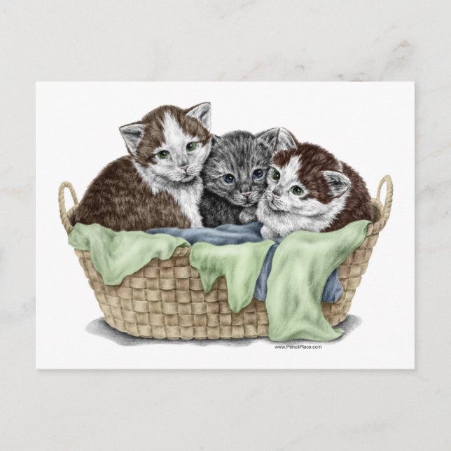 Basket of Kittens Postcard (Front)