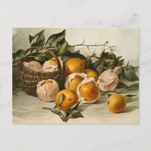 Basket of Oranges Postcard