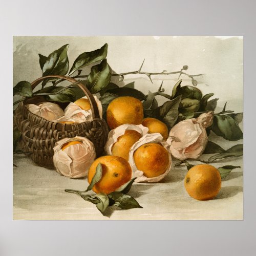 Basket of Oranges Poster