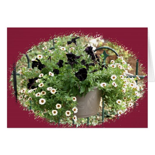 Basket of Petunias Cards (Front Horizontal)