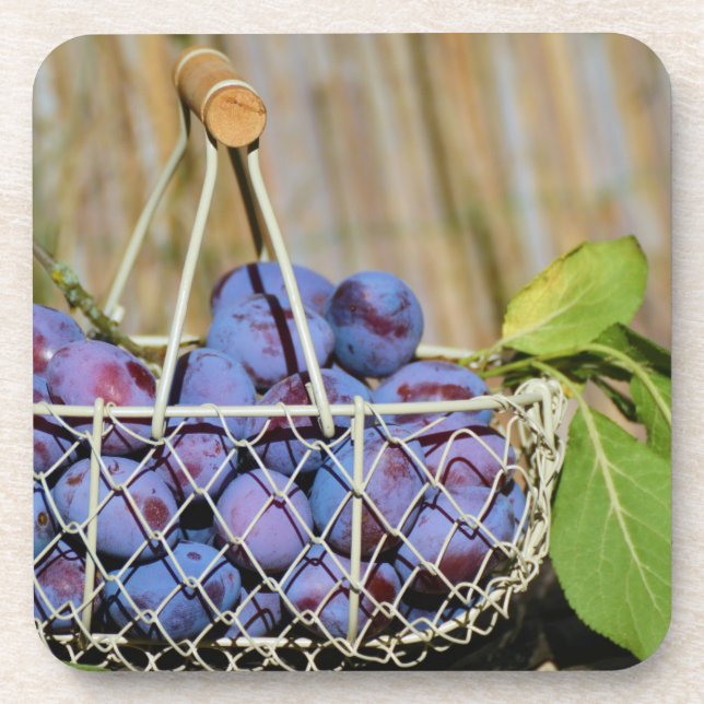 Basket of Purple Plums Beverage Coaster (Front)