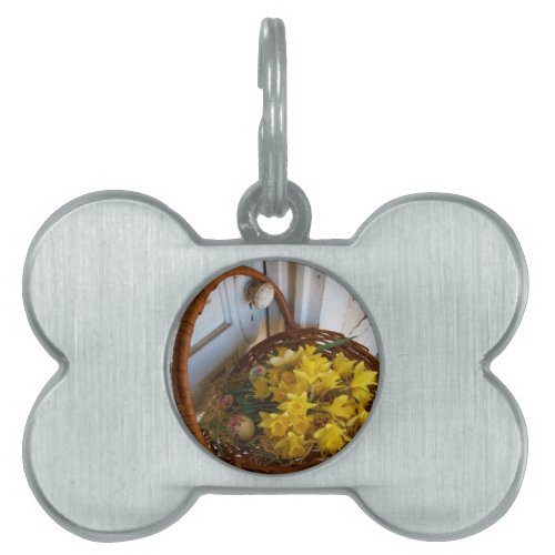 Basket of Yellow Daffodilswhite antique door Pet ID Tag