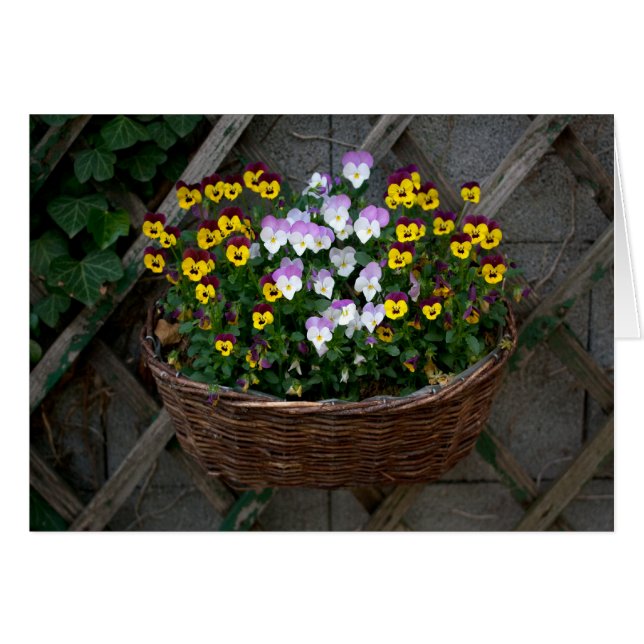 Basket With Violas Cards (Front Horizontal)