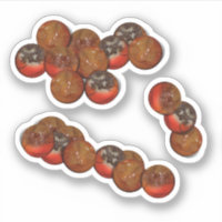 Basketball Doughnut Holes