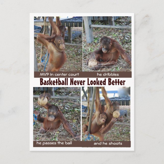 Basketball Heroes Postcard (Front)