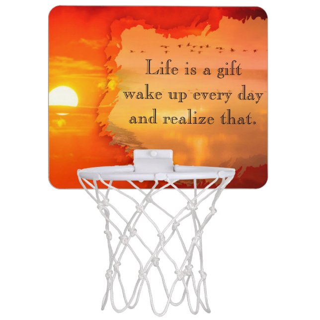 basketball hoop for trampoline, nerf-door, toddler (Front)