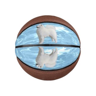 Basketball-Mini Size for the Aspiring Athlete Mini Basketball