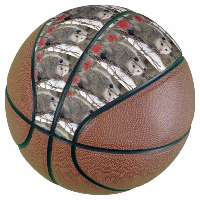 Basketball Opossum Nature (Angled)