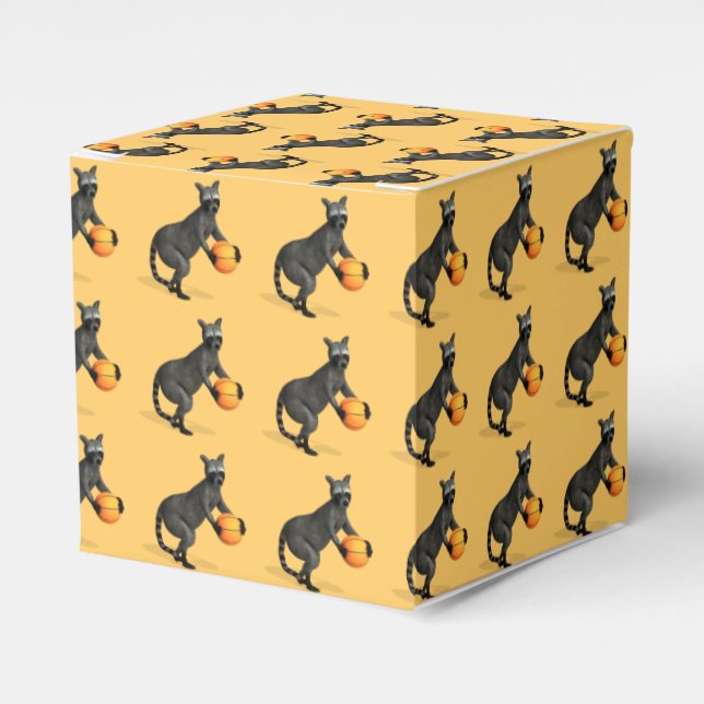 Basketballer Raccoon Favor Boxes (Front Side)