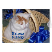 BASKETFUL OF **PURRRFECT** BIRTHDAY WISHES (Front Horizontal)