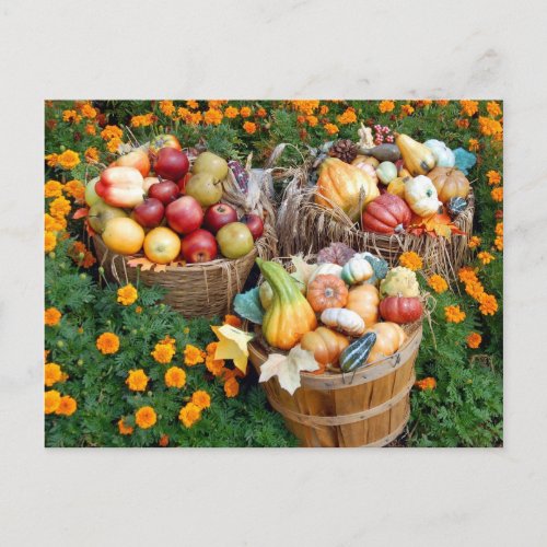 Baskets of Autumn Fruit and Vegetables Postcard