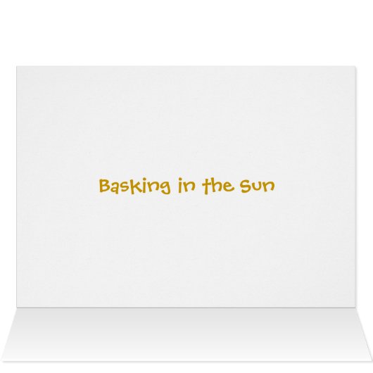 Basking in the Sun (Inside Horizontal (Top))