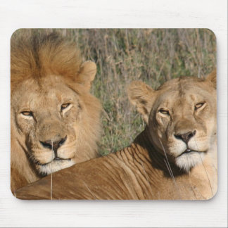 Basking in the Sun - Mousepad