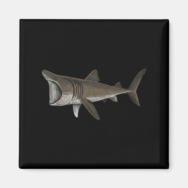 Basking Shark Magnet (Front)