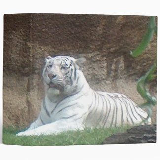 Basking White Tiger Binder