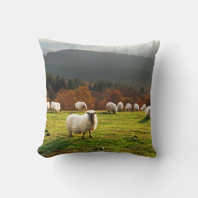 basque country typical latxa sheep throw pillow (Front)
