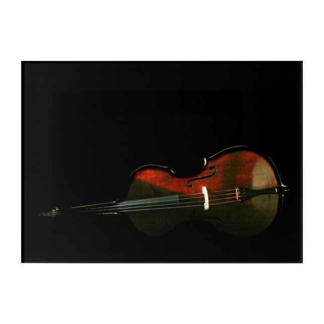 Bass 3 14x10 (35x25cm) waacna acrylic print (Front)