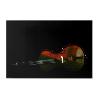 Bass 3 30x20 (75x50cm) waacna acrylic print