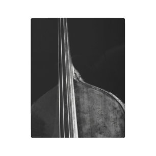 Bass 5 11x14 (27.5x35cm) wamecna metal print