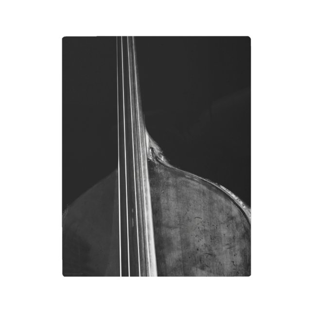 Bass 5 11x14 (27.5x35cm) wamecna metal print (Front)
