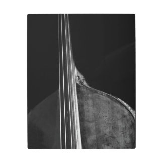 Bass 5 16x20 (40x50cm) wamecna metal print