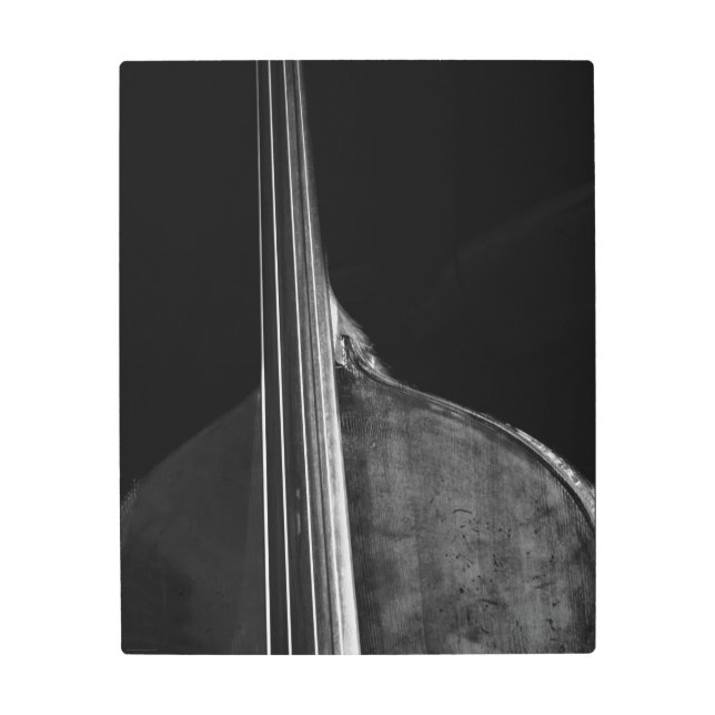 Bass 5 16x20 (40x50cm) wamecna metal print (Front)