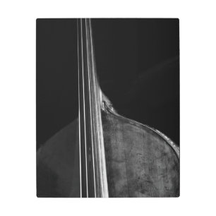 Bass 5 16x20 (40x50cm) wamem metal print