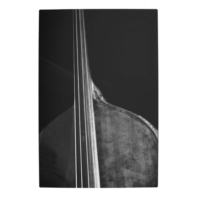Bass 5 20x30 (50x75cm) wamecna metal print (Front)