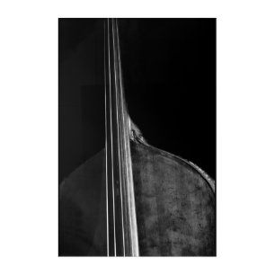 Bass 5 24x36 (60x90cm) waacna acrylic print