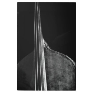 Bass 5 24x36 (60x90cm) wamecna metal print