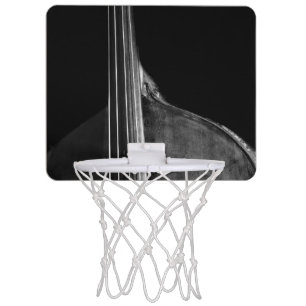 Bass 5 bgcnm mini basketball hoop