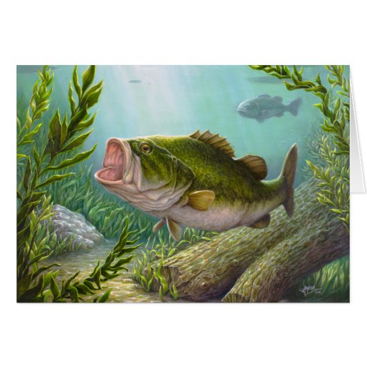 Bass Fish Cards (Front Horizontal)