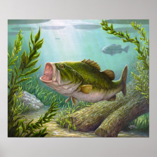 Underwater Bass Fishing Wall Art & Décor