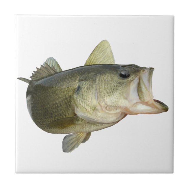 Bass Fishing Ceramic Tile (Front)