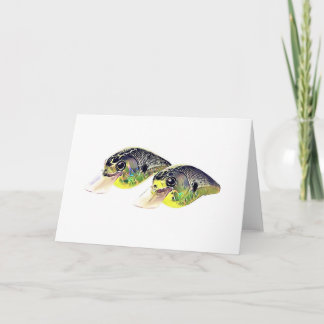 Bass Fishing Crankbait Greeting Card