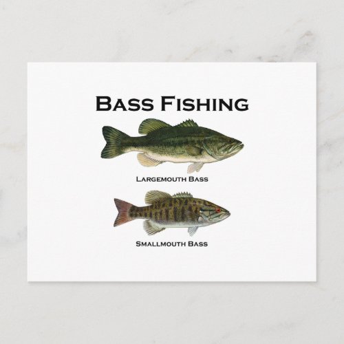 Bass Fishing Logo largemouth _ smallmouth Postcard
