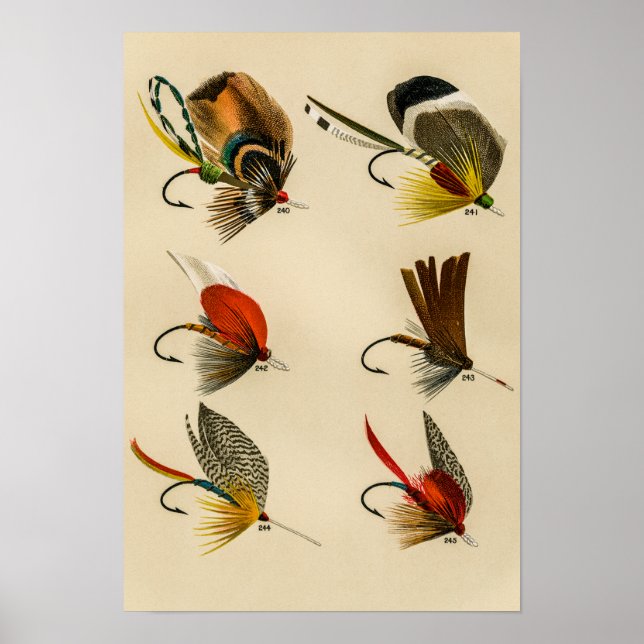 Bass Flies 240 to 245 Vintage Poster (Front)