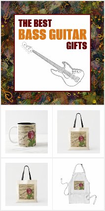 Bass Guitar Facts